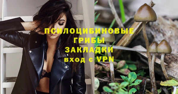 прущая мука Богданович