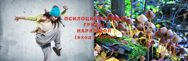 гашиш Богородицк